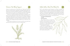The Homestead Herbal Remedies Guide: Nurture Wellness with Safe and Natural Solutions (The Homestead Essentials)