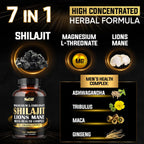 Magnesio con Lion's Mane, Shilajit, Ashwagandha, Raíz de Maca y Complejo de Salud Masculina - 210 Cápsulas