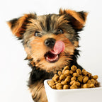 Pooch Nooch XL - Topper Gourmet para Perros con Levadura Nutricional y Hierbas - 213 g