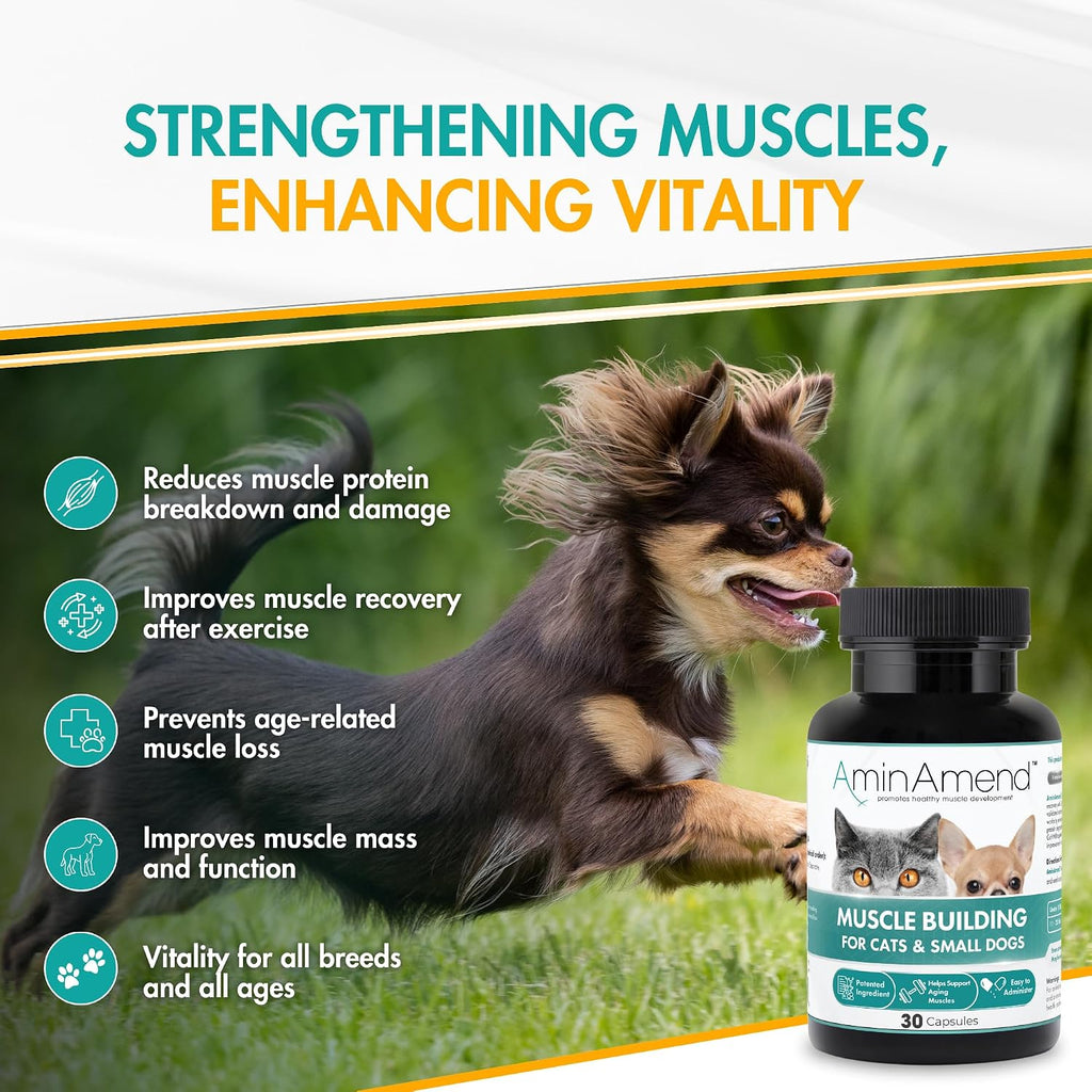 AminAmend Suplemento Muscular para Perros y Gatos Pequeños con CaHMB y Vitamina D3 - 30 Cápsulas