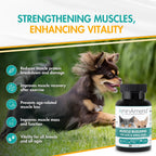 AminAmend Suplemento Muscular para Perros y Gatos Pequeños con CaHMB y Vitamina D3 - 30 Cápsulas