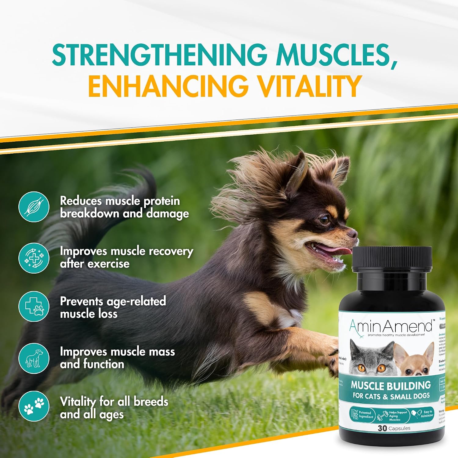 AminAmend Suplemento Muscular para Perros y Gatos Pequeños con CaHMB y Vitamina D3 - 30 Cápsulas
