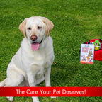Pet Vet First Aid Book Guide for Dogs & Cats - Complete First Aid Book for Emergency Care, CPR, Toxicity Calculators, Cat & Dog Wound Care, Pet Health Veterinary Books, Dog Health, First Aid Supplies