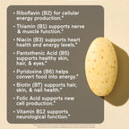 NatureWise Super Complejo B - con Vitamina C, Ácido Fólico, Biotina y Vitaminas B - Vegano, Sin Gluten - 60 Comprimidos