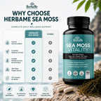 HerbaMe Musgo de Mar Orgánico con Bladderwrack, Bardana y Pimienta Negra - 150 Cápsulas Vegetales