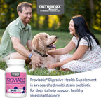 Nutramax Proviable Probióticos para Perros - 60 Comprimidos Masticables