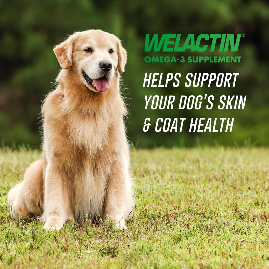 Nutramax Welactin Omega 3 Fish Oil for Dogs - 16 oz Líquido