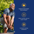 Complejo B Premium con Vitamina B12 - 180 Comprimidos