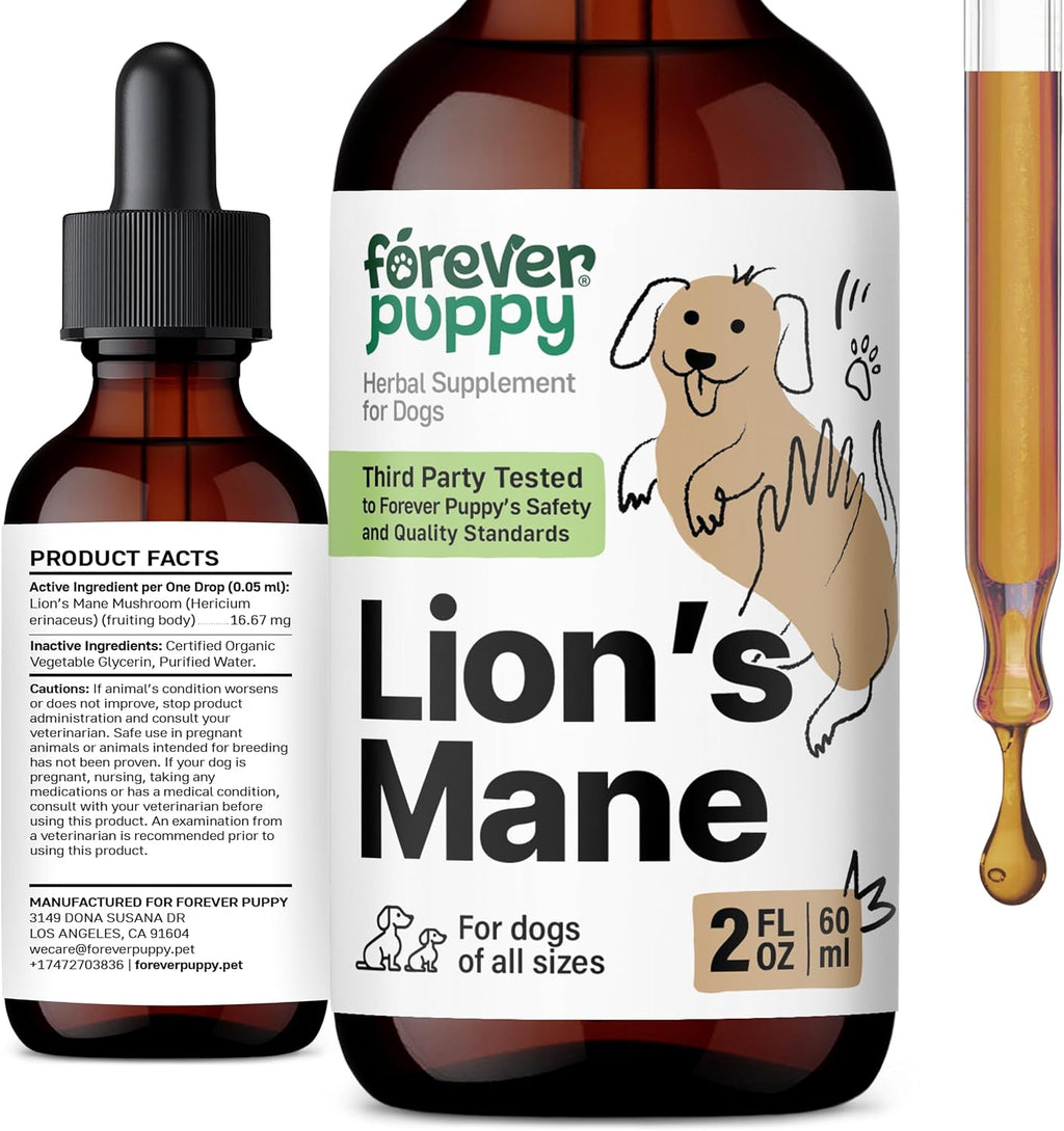 Forever Puppy Lion's Mane – Suplemento Líquido para Perros con Apoyo Cognitivo – 59 ml