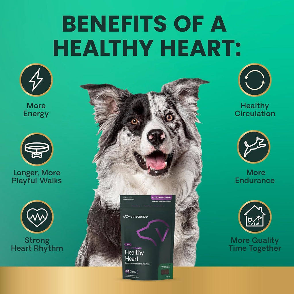 VetriScience Extra Strength Healthy Heart Chews - Suplemento Cardíaco para Perros con Taurina, Carnitina, CoQ10 y Espino, Sabor a Pollo, 60 unidades