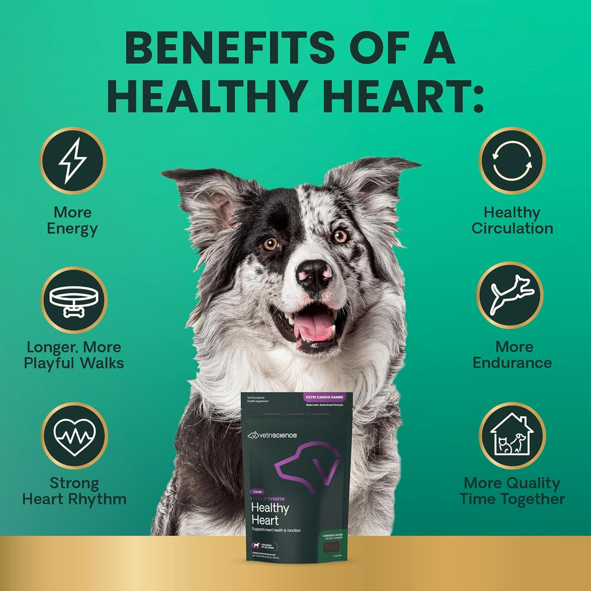 VetriScience Extra Strength Healthy Heart Chews - Suplemento Cardíaco para Perros con Taurina, Carnitina, CoQ10 y Espino, – Image 6