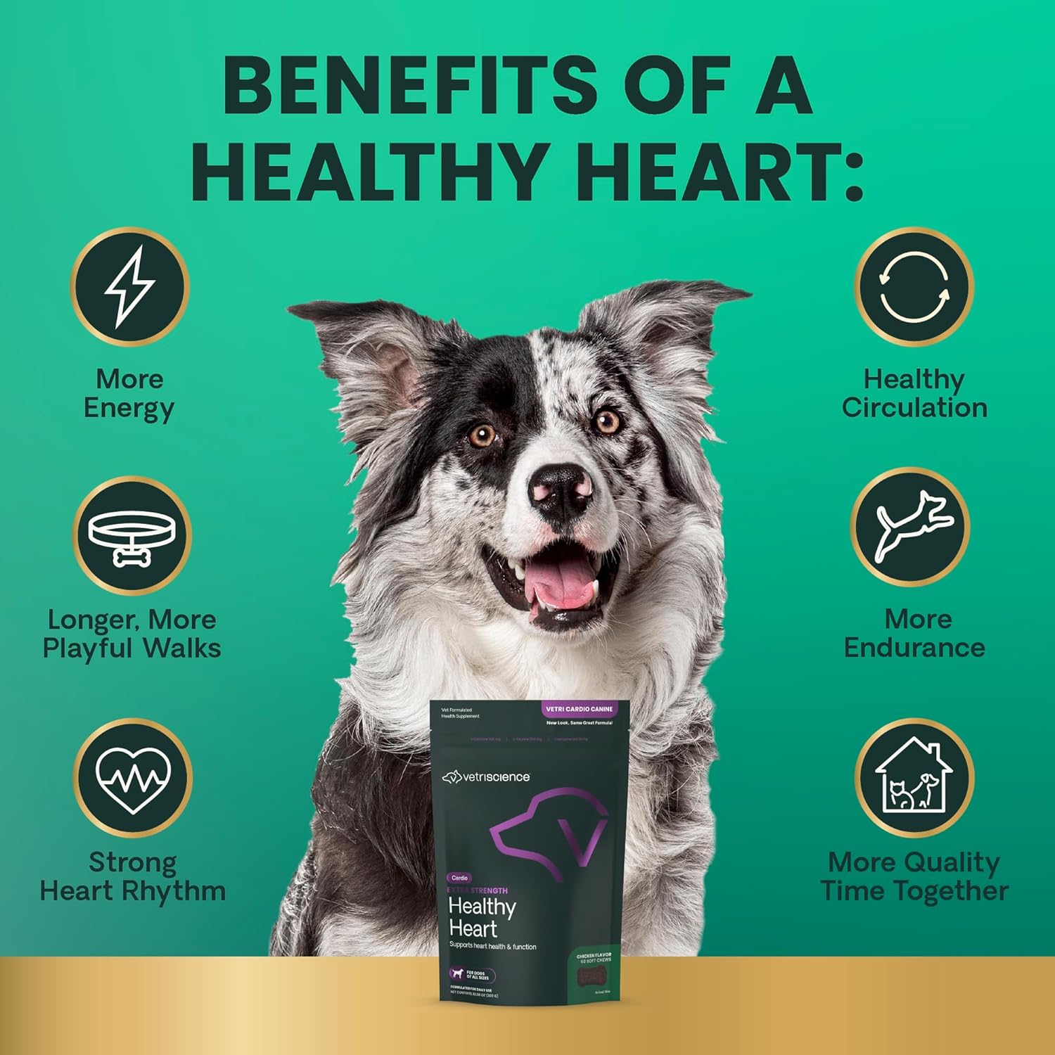 VetriScience Extra Strength Healthy Heart Chews - Suplemento Cardíaco para Perros con Taurina, Carnitina, CoQ10 y Espino, Sabor a Pollo, 60 unidades