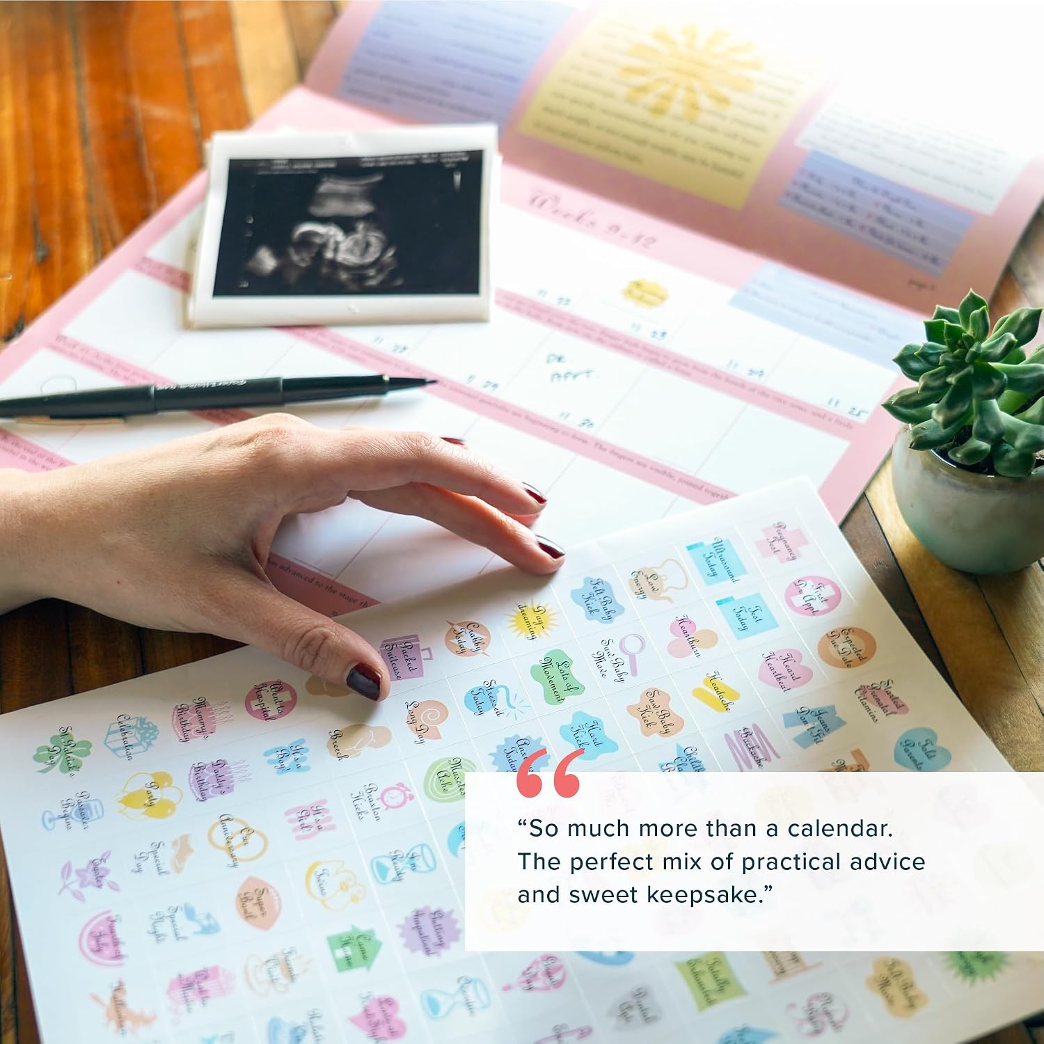 The Pregnancy Calendar: Your 40-Week Guide to Prenatal Care and Fetal Development