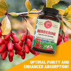 Whole World Wellness Berberina 1200 mg - 60 Cápsulas