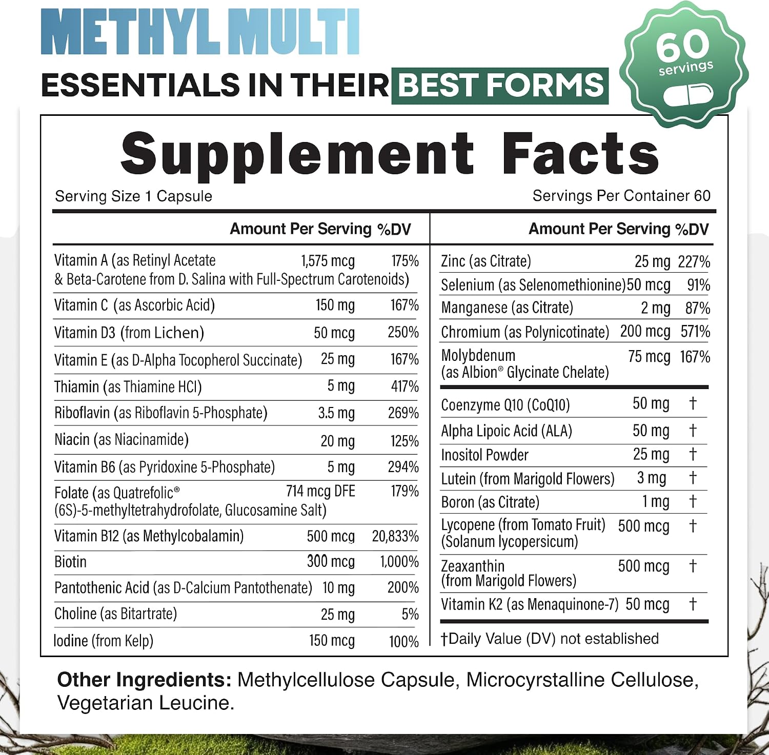 Wild Multivitamínico Metilado para Mujeres y Hombres - Sin Hierro - Con B12 y Folato Metilados, Vitamina C, A, K2, D, E, Colina, Biotina, ALA, CoQ10 y Más (60 Cápsulas)
