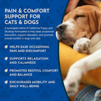 Comfort Plus Herbal Formula for Dogs & Cats, 2 fl oz - Made in USA, California Poppy & Skullcap