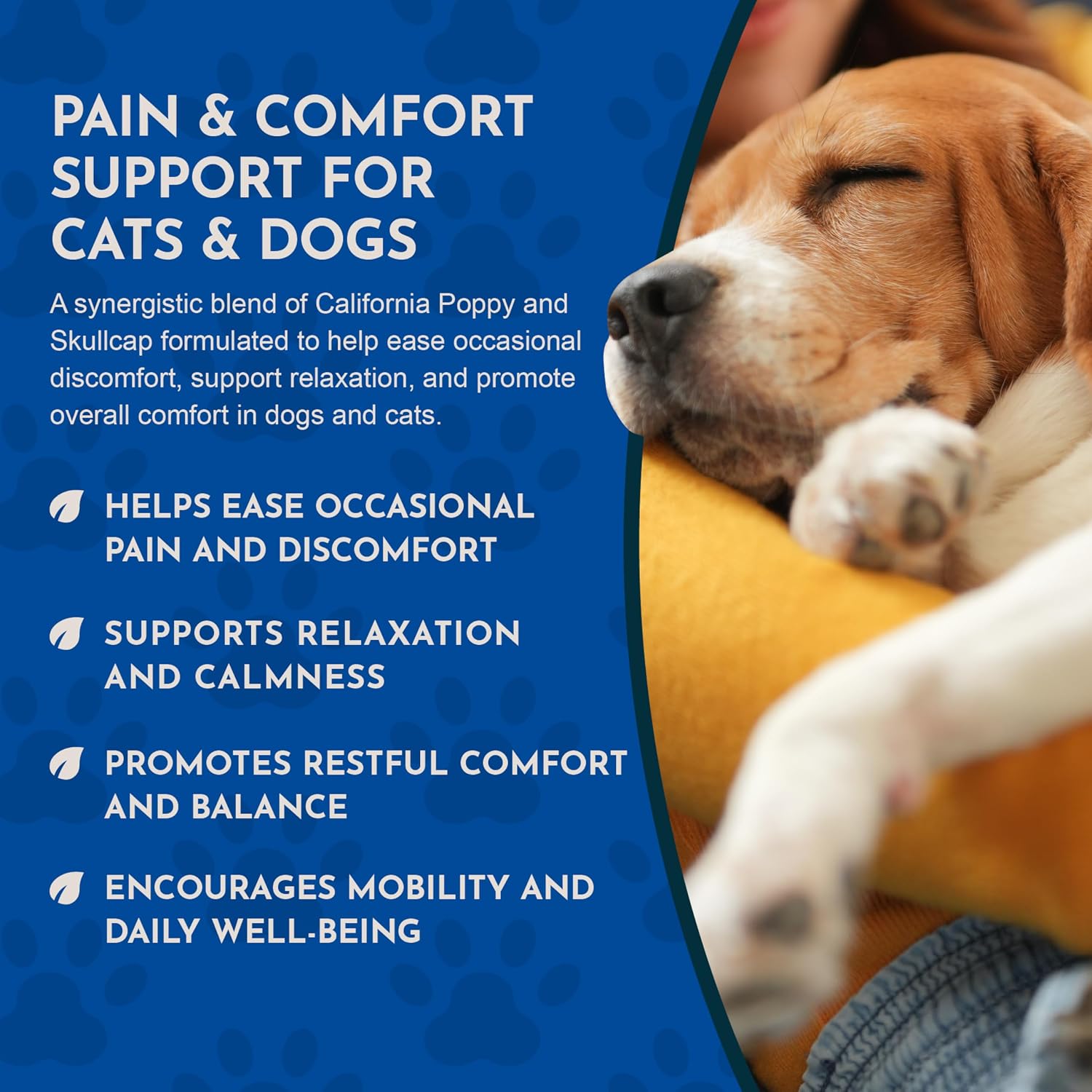 Comfort Plus Herbal Formula for Dogs & Cats, 2 fl oz - Made in USA, California Poppy & Skullcap