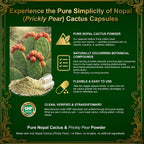 Nopal Cactus Capsules and Prickly Pear Drops Combo, 120 cápsulas + 60 ml
