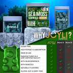 JOYLI Nutrition - Gominolas de Sea Moss para Adultos y Niños – Suplemento Vegano con Bladderwrack y Burdock Root – Sin Azúcar – 2 Paquetes de 60 Gominolas