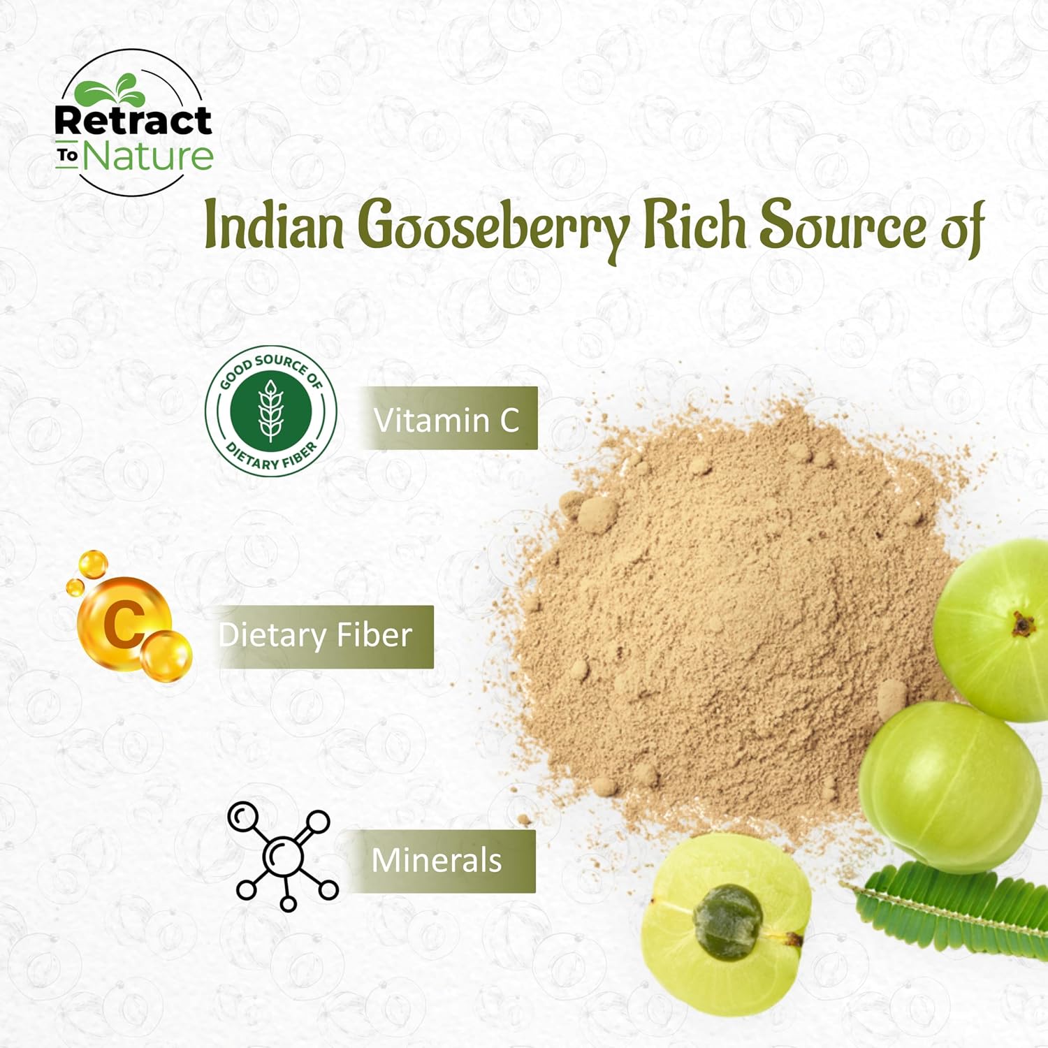 Retract To Nature Amla Powder (Amalaki) - 16 oz, Fuente Natural de Vitamina C del Himalaya