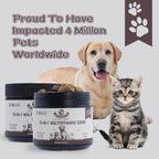 Best Buddy Multivitamin 15-en-1 Snacks para Perros y Gatos, Suplemento Completo para la Salud con Apoyo Articular + Enzimas Digestivas, Vitaminas y Suplementos para Perros sin Cereales para Piel y Pelaje (Tocino/Cerdo, 225g)