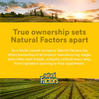 Natural Factors, Men's 50+ MultiStart Multivitamínico Diario, 120 comprimidos