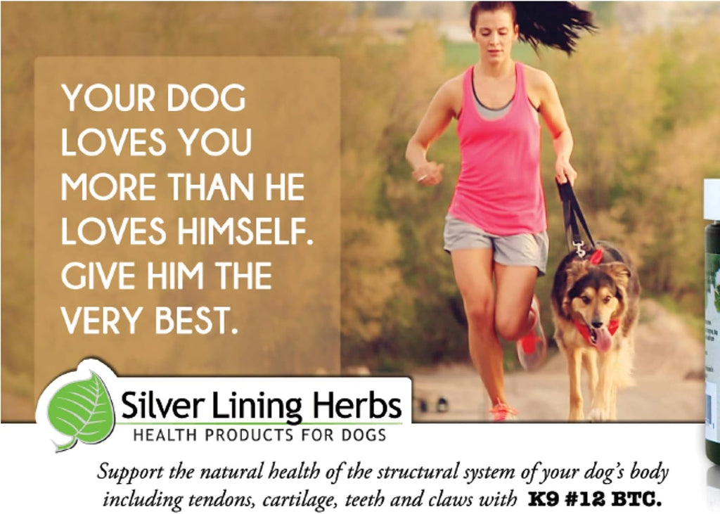 Silver Lining Herbs 12 Bone Tissue and Cartilage - Apoyo Estructural para Perros, 90 Cápsulas