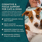 Animal Essentials Brain Awake Fórmula de Apoyo Cognitivo para Perros y Gatos, 30 ml