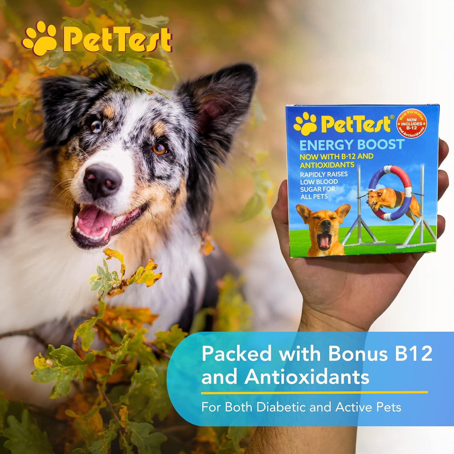PetTest Energy Boost Glucosa SOS 3x10ml con B12 y Antioxidantes para Perros y Gatos