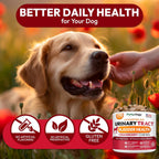 Chicles de Arándano y D-Manosa para Perros - Apoyo Urinario y Multivitamínico (170 unidades)