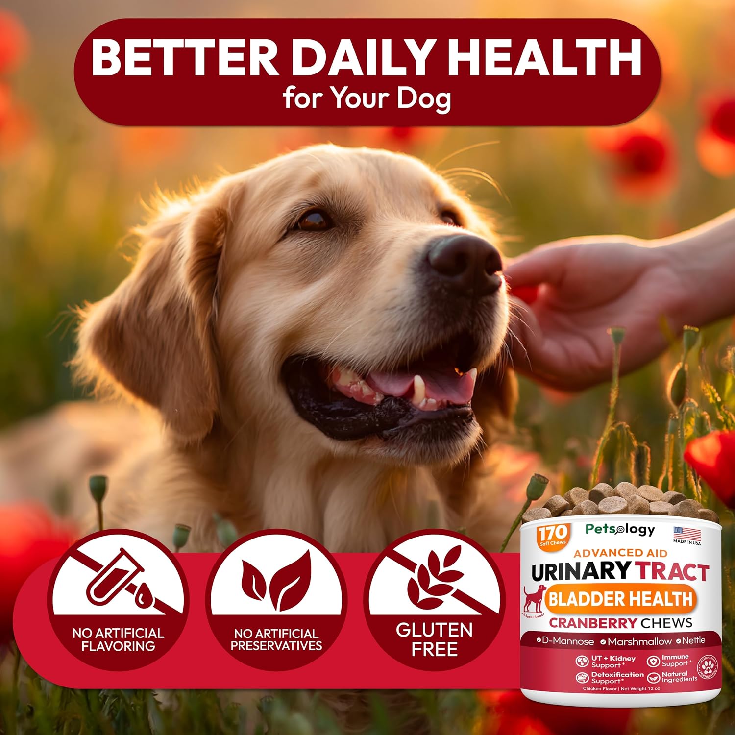 Chicles de Arándano y D-Manosa para Perros - Apoyo Urinario y Multivitamínico (170 unidades)