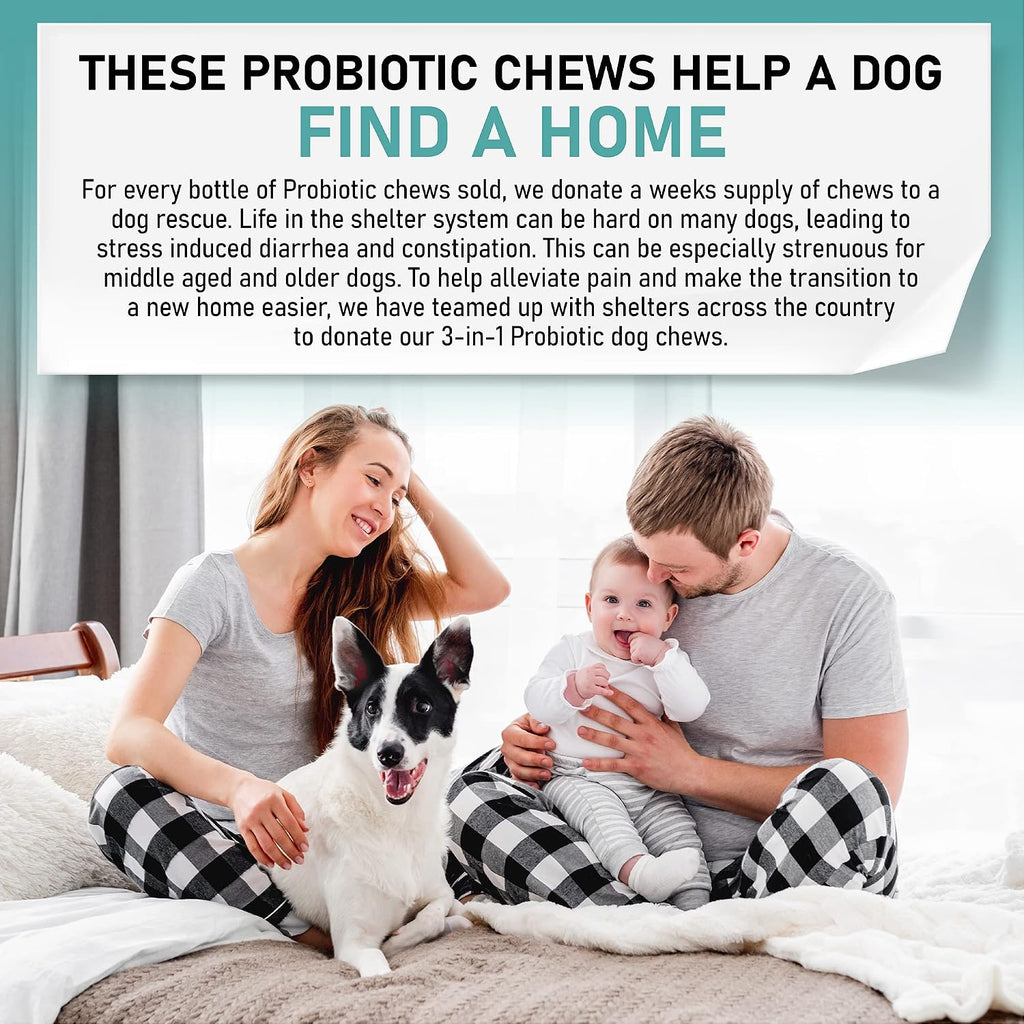 Probióticos para Perros Masticables – Apoyo Digestivo con Enzimas – 120 Unidades
