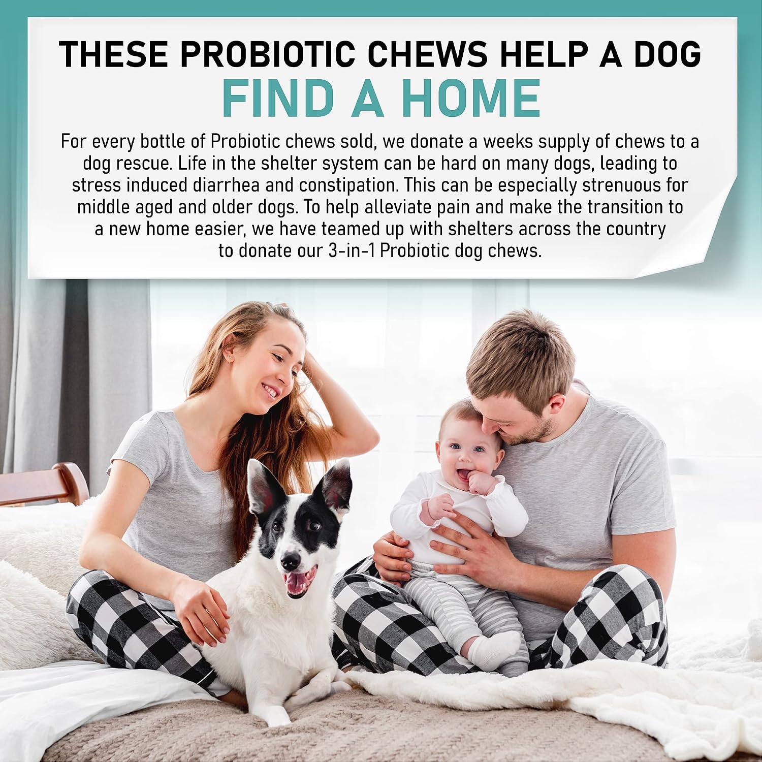 Probióticos para Perros Masticables – Apoyo Digestivo con Enzimas – 120 Unidades