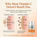 Vitamina C Liposomal Pura - 1200 mg - 60 Cápsulas