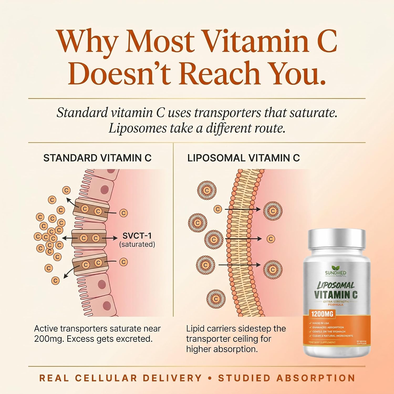 Vitamina C Liposomal Pura - 1200 mg - 60 Cápsulas