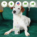 SensoVet Probióticos Avanzados para Perros con Enzimas Digestivas - Soft Chews