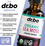 Irish Sea Moss Liquid Drops - Gotas Líquidas Orgánicas de Musgo de Mar, 30 ml