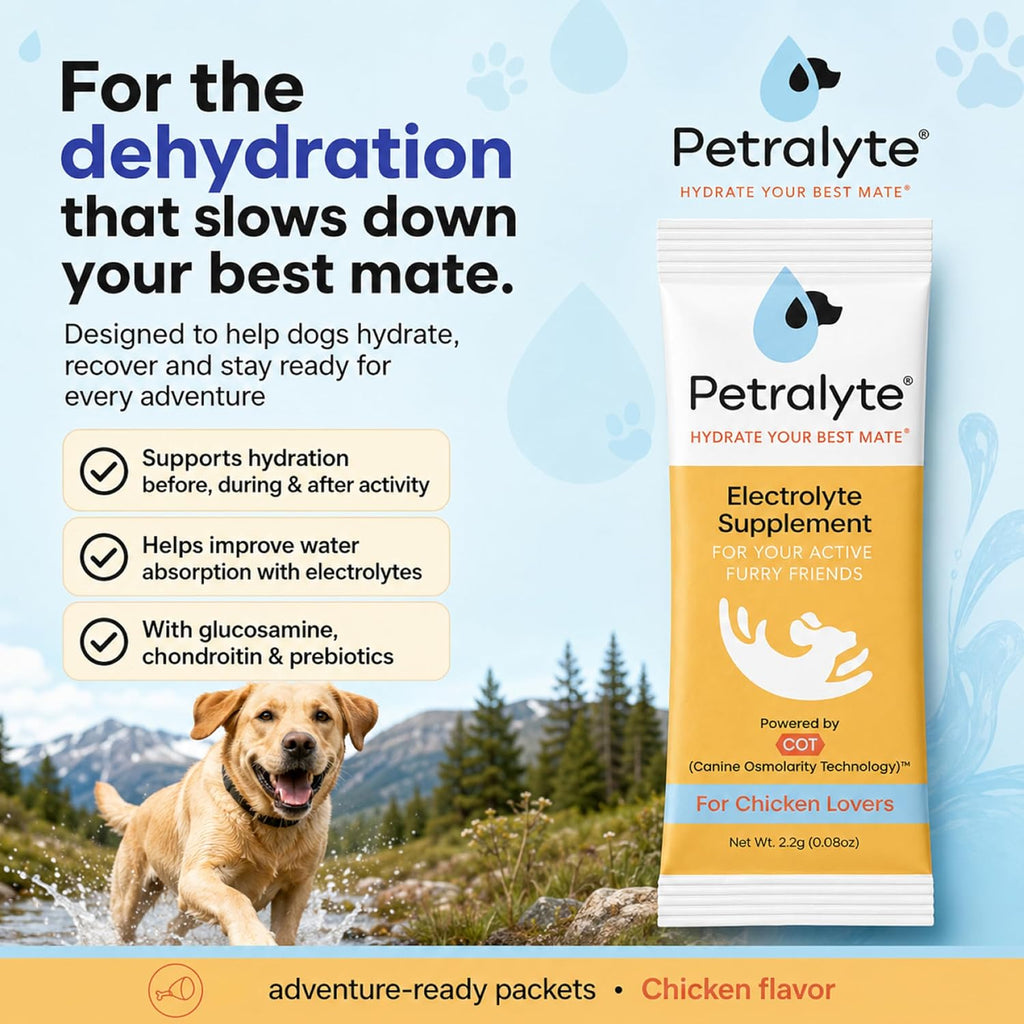 Petralyte Electrolitos y Suplemento Articular para Perros - 32 Paquetes Sabor Pollo
