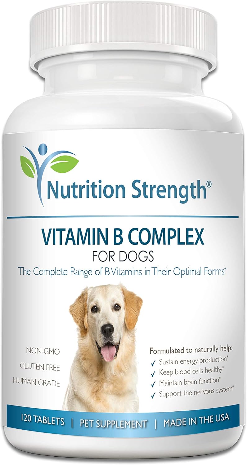 Nutrition Strength Complejo B para Perros, 120 Comprimidos Masticables