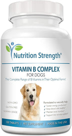 Nutrition Strength Complejo B para Perros, 120 Comprimidos Masticables