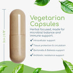 Return Healthy Cryptolepis Concentrate - 120 Cápsulas
