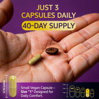 LetaGreen Cápsulas de Sea Moss 17 en 1 – Mezcla Multimineral con Ashwagandha y Vitaminas D3, K2 y C – 120 Cápsulas