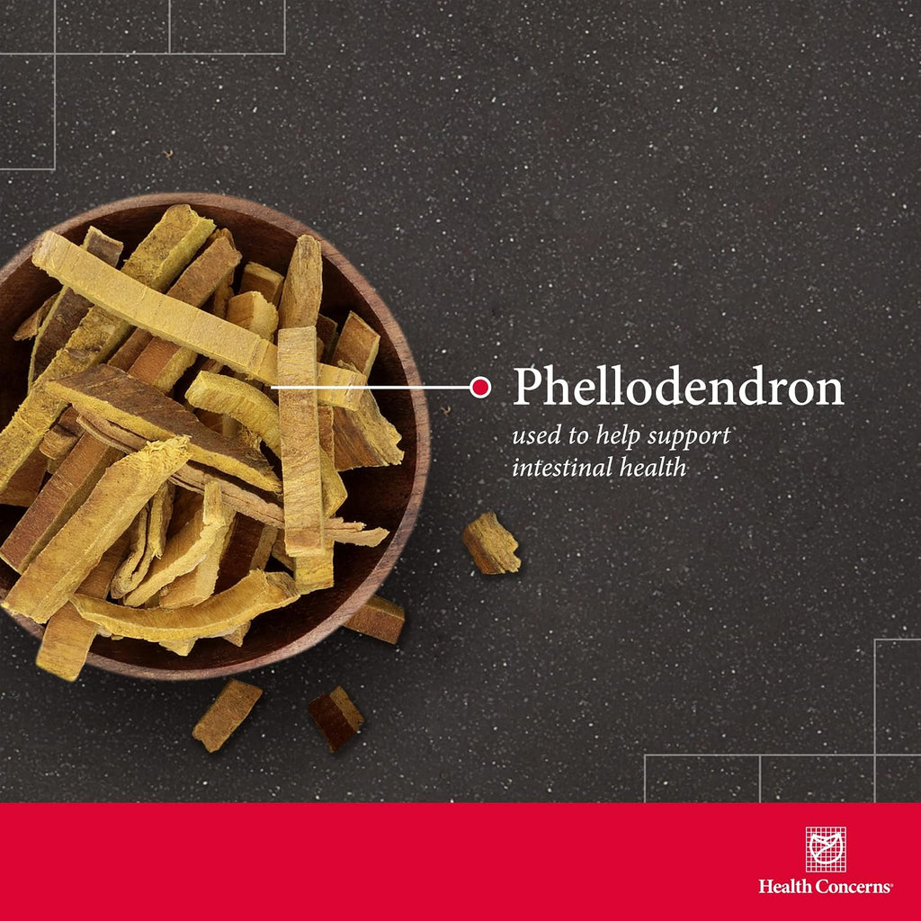 Health Concerns Phellostatin – 270 Cápsulas – Fórmula Herbaria China para el Apoyo Inmunitario y la Flora Intestinal