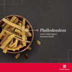 Health Concerns Phellostatin – 270 Cápsulas – Fórmula Herbaria China para el Apoyo Inmunitario y la Flora Intestinal