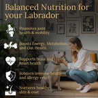 Multivitamínicos Prestige Breed, Nutrición Equilibrada para tu Labrador, 90 unidades, Sabor a Bacon