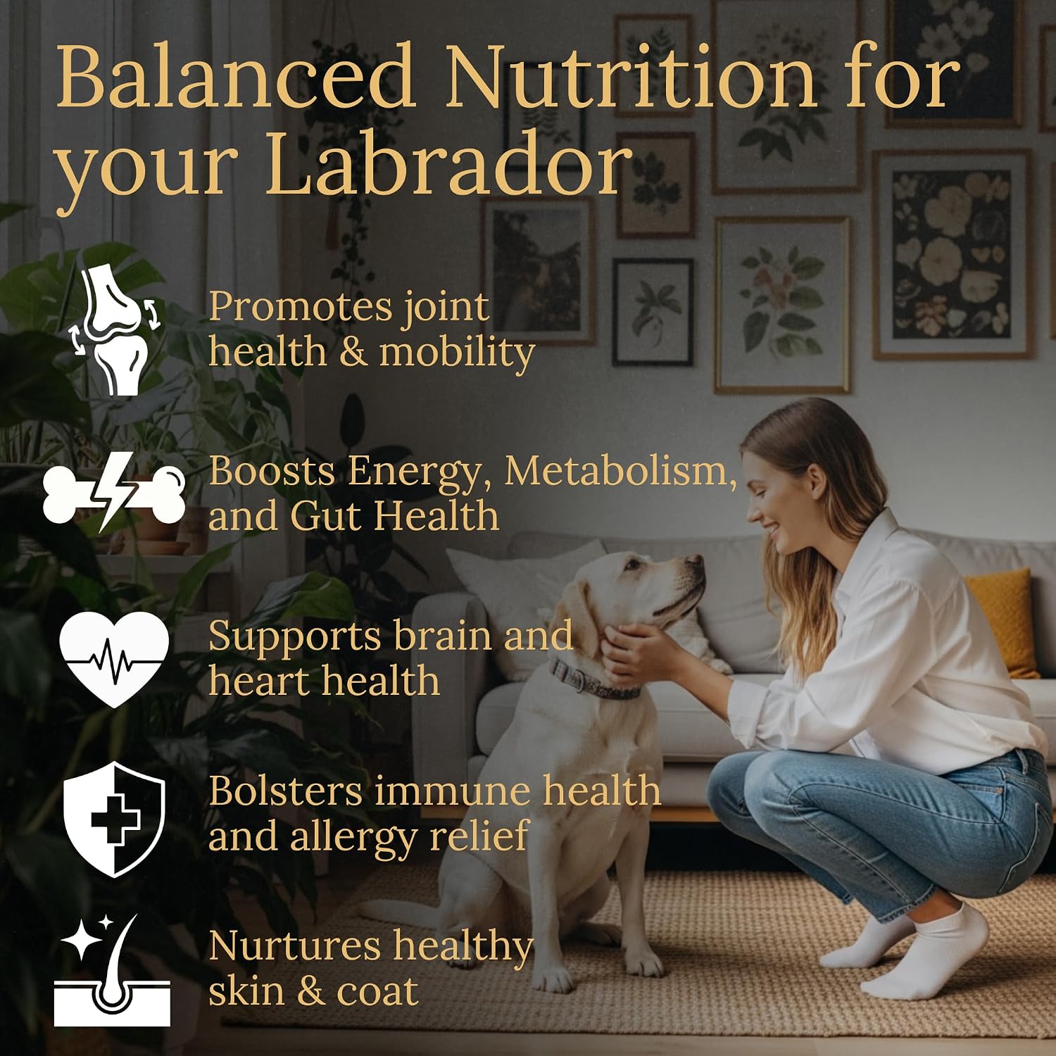 Multivitamínicos Prestige Breed, Nutrición Equilibrada para tu Labrador, 90 unidades, Sabor a Bacon