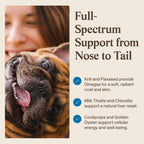 Real Mushrooms Whole Dog Health – Suplemento de hongos para perros, 75 g en polvo