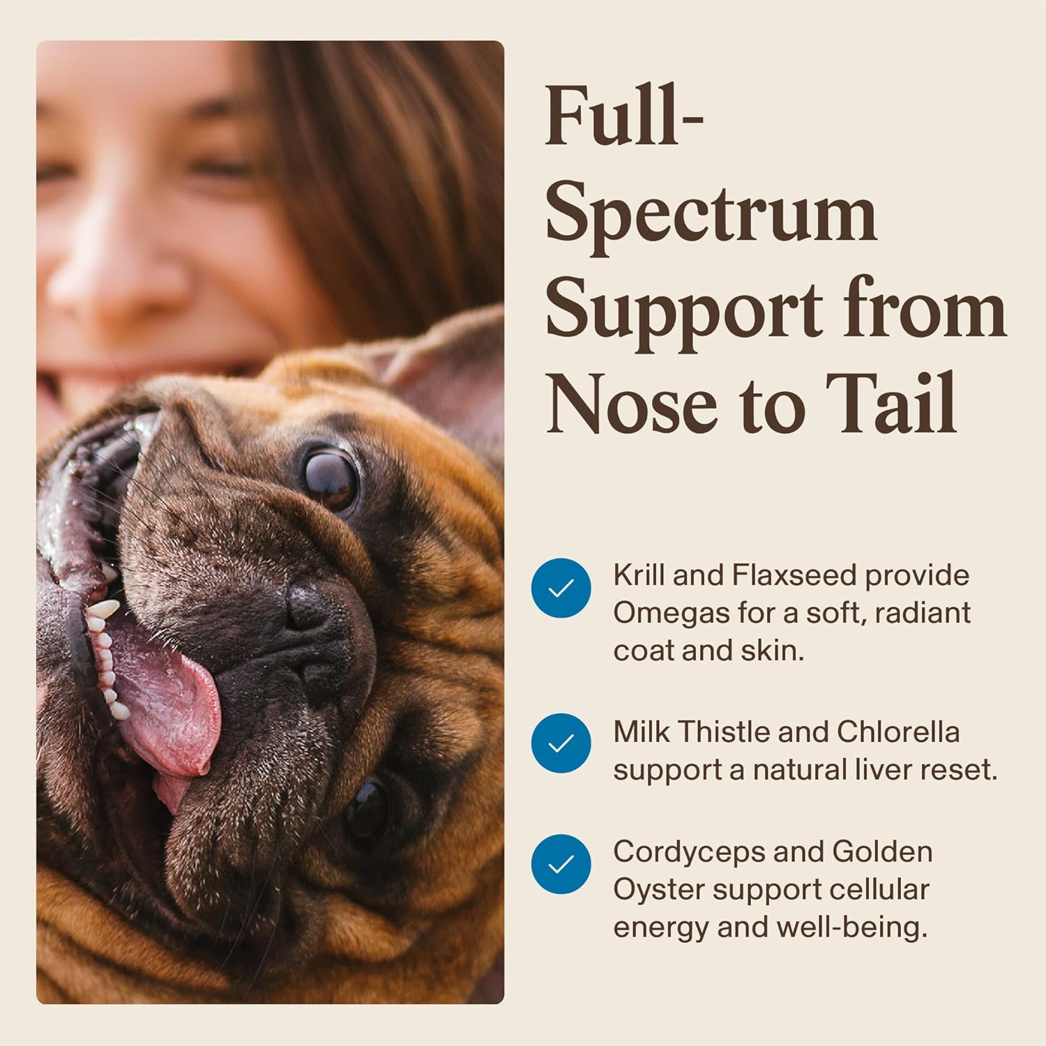 Real Mushrooms Whole Dog Health – Suplemento de hongos para perros, 75 g en polvo
