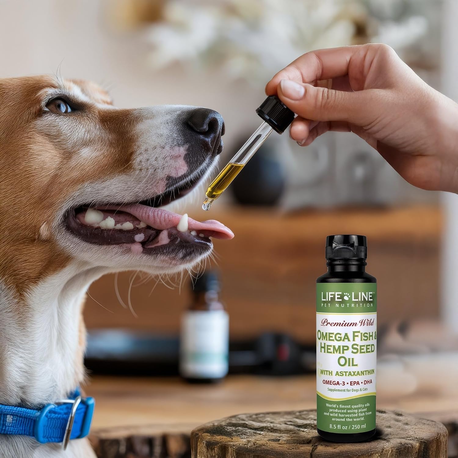 Lifeline Aceite Premium Omega 3 de Pescado y Cáñamo para Perros y Gatos | Apoyo para Piel, Pelaje y Articulaciones | Suplemento Calmante con Astaxantina – 8.5 oz