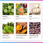 Livingood Daily Cholesterol Support Suplemento para el Colesterol